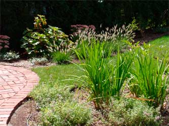 View from the Patio in Early Spring - Susan Marsh Gardens Belmont MA