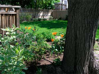 View from the Path to the New BackYard  - Susan Marsh Gardens Belmont MA